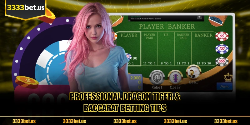Professional Dragon Tiger & Baccarat Betting Tips